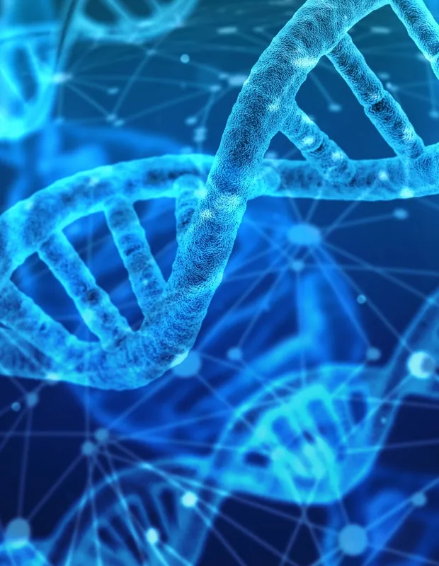 DNA double helix